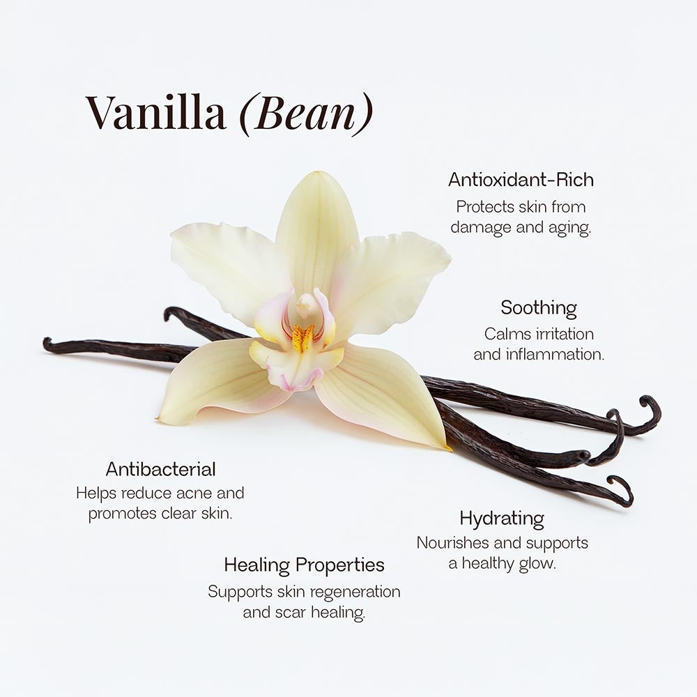 Melt: Whipped Tallow Balm with Vanilla Bean- Rooted in Love.