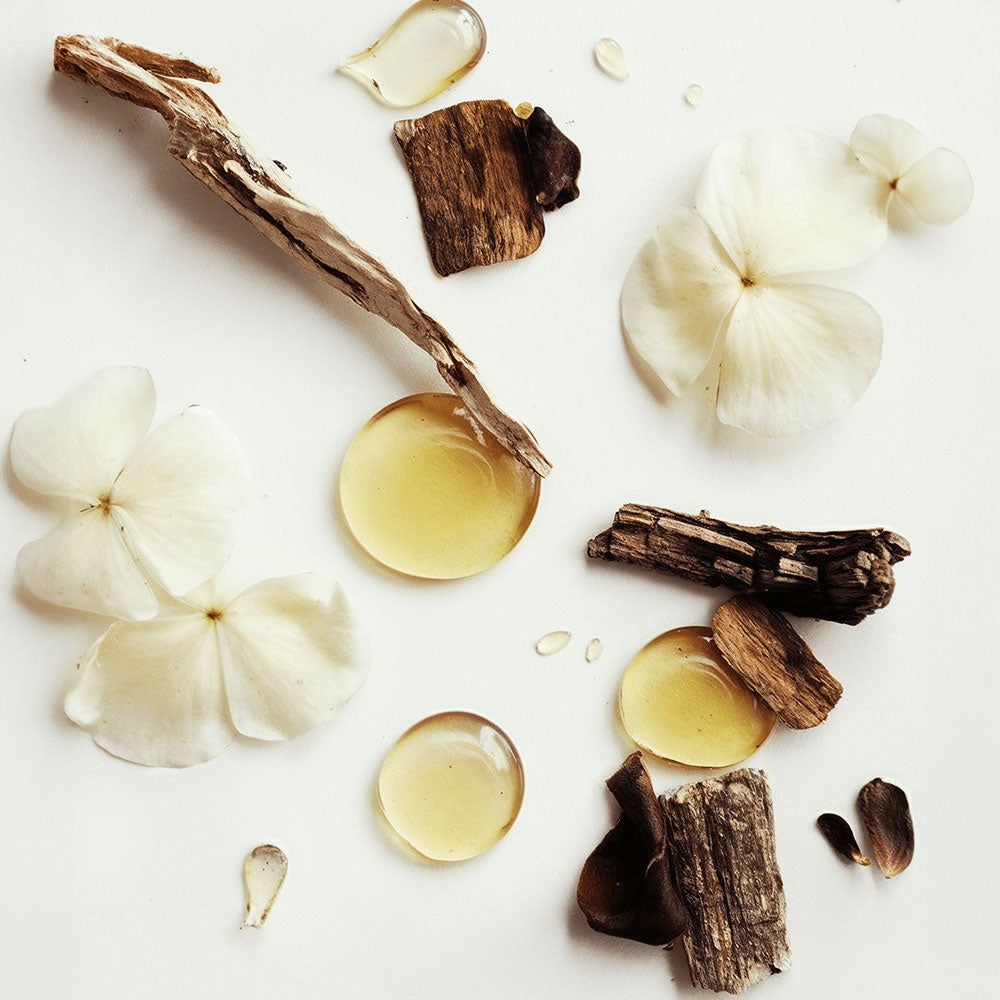 Melt: Whipped Tallow Balm with Vanilla Bean- Rooted in Love.