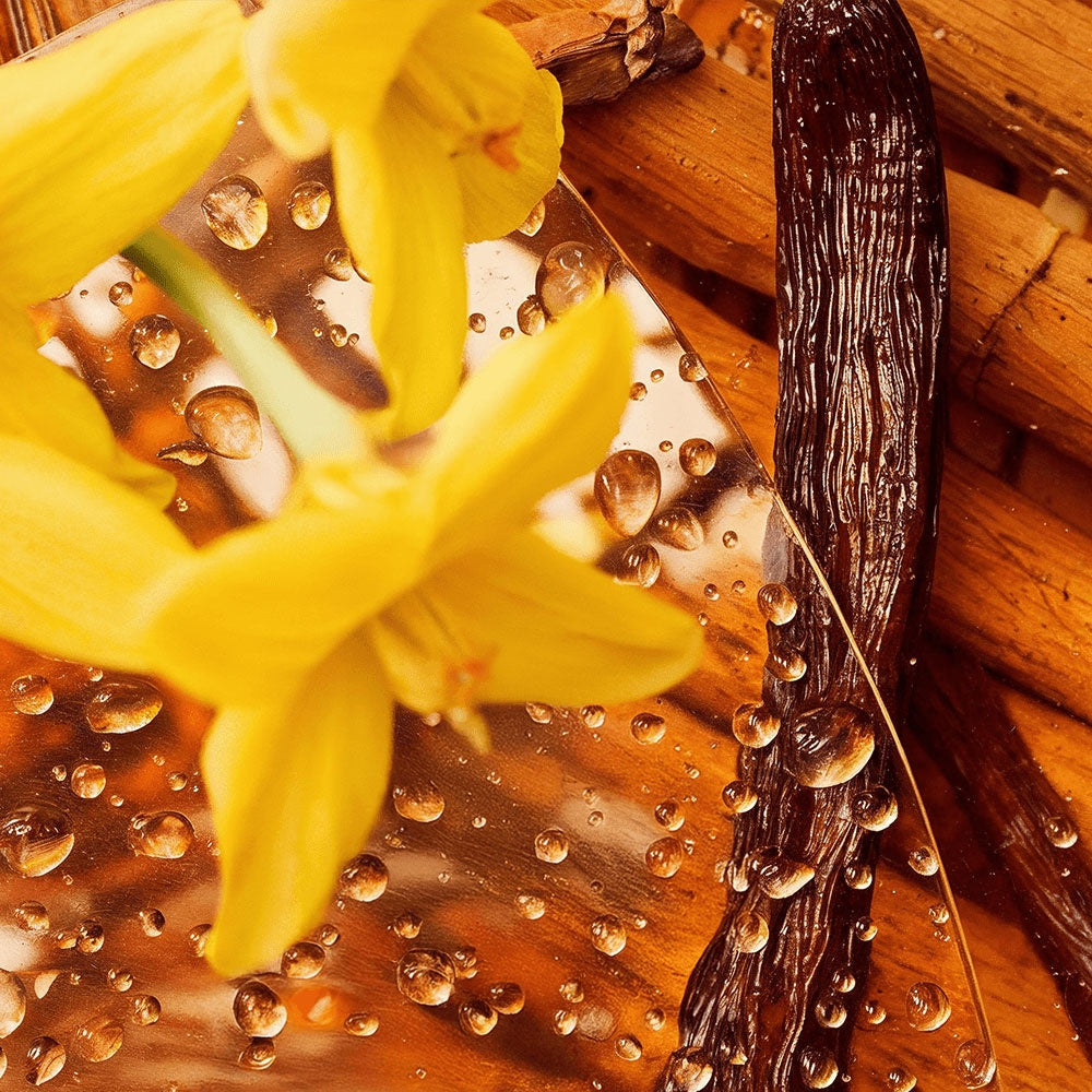Melt: Whipped Tallow Balm with Vanilla Bean- Rooted in Love.