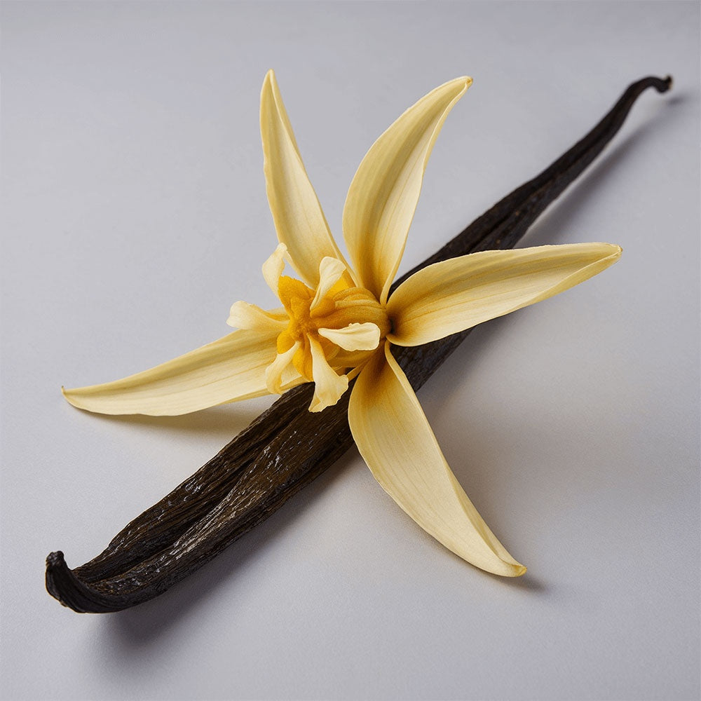 Melt: Whipped Tallow Balm with Vanilla Bean- Rooted in Love.