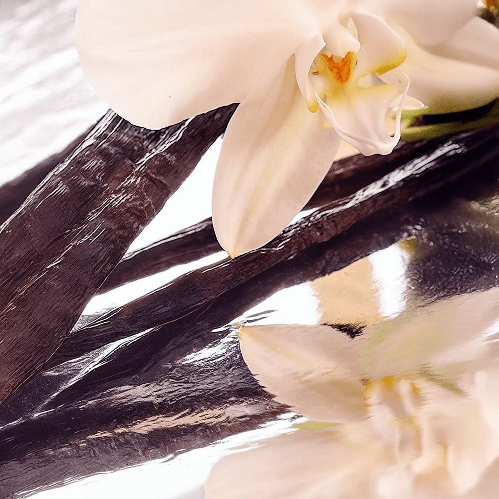 Melt: Whipped Tallow Balm with Vanilla Bean- Rooted in Love.